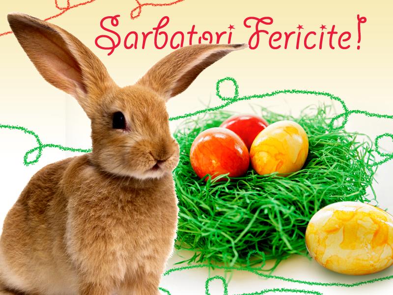 Carpbook - Sarbatori fericite!